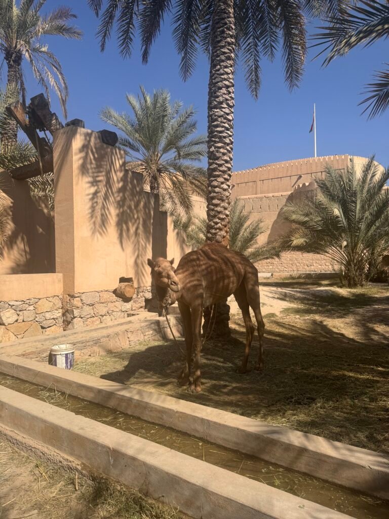 Tour photo 27
