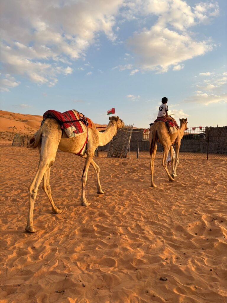 Wahiba Sands & Wadi Bani Khalid with Free Lunch